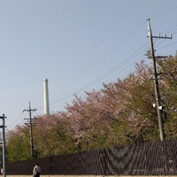 画像385
