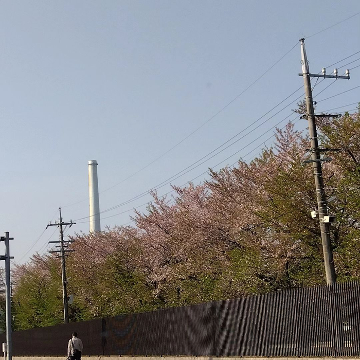 画像385